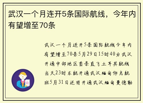 武汉一个月连开5条国际航线，今年内有望增至70条