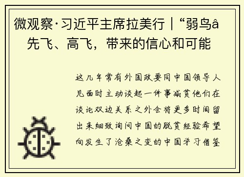 微观察·习近平主席拉美行｜“弱鸟”先飞、高飞，带来的信心和可能