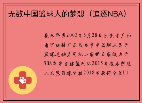 无数中国篮球人的梦想（追逐NBA）